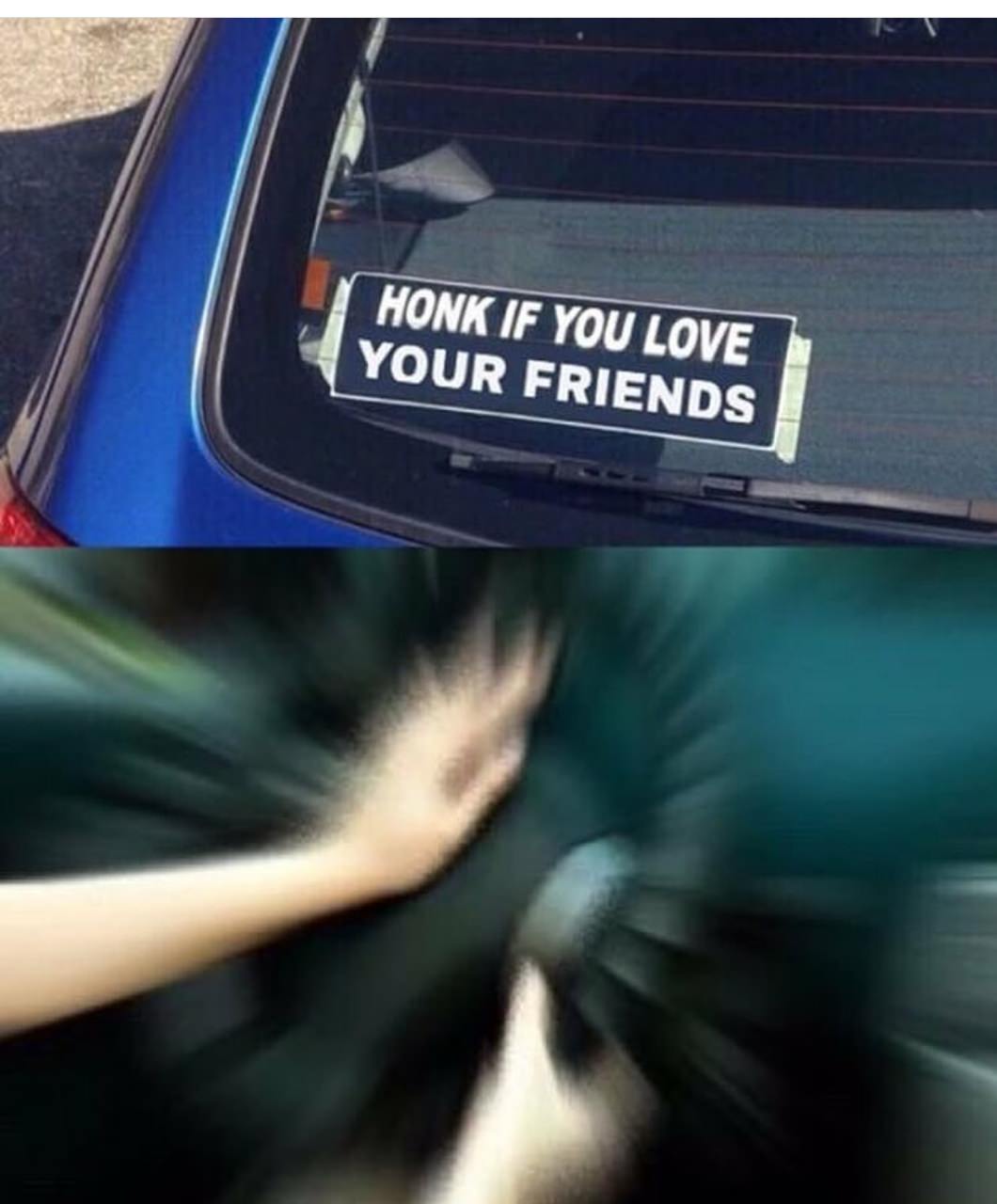 memes - honk if you love your friends - Honk If You Love Your Friends