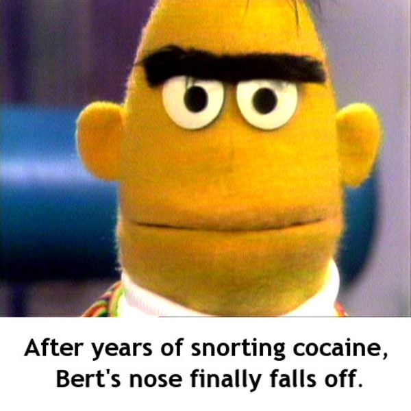 bert and ernie memes - Oo After years of snorting cocaine, Bert's nose finally falls off.