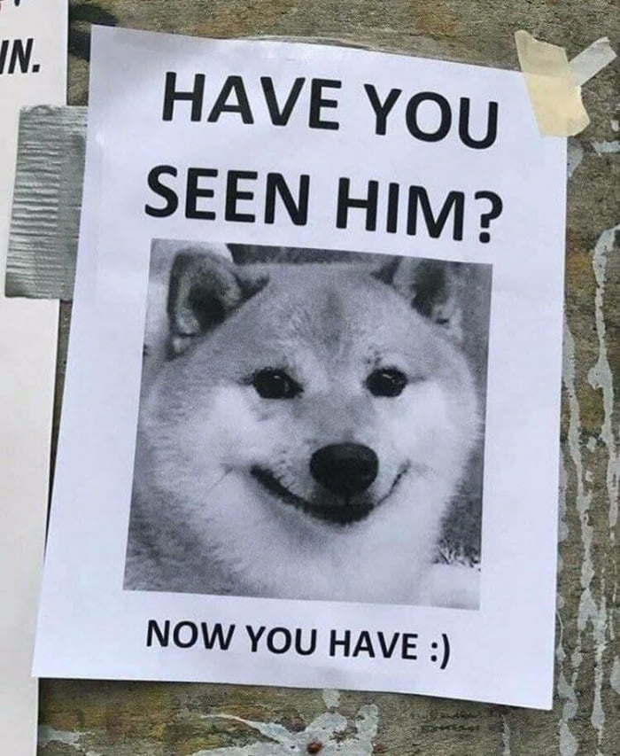 have you seen my dog now you have - Have You Seen Him? Now You Have