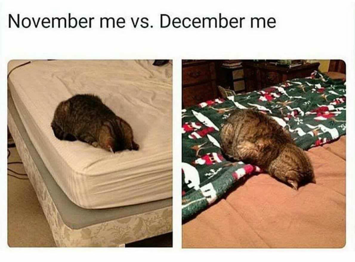 me in november vs me in december - November me vs. December me