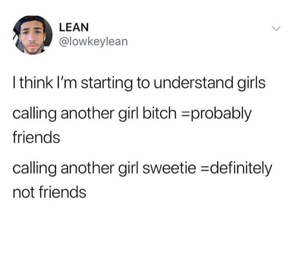 bitch sweetie meme - Lean I think I'm starting to understand girls calling another girl bitch probably friends calling another girl sweetie definitely not friends