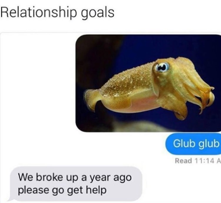 Relationship goals Glub glub Read A We broke up a year ago please go get help