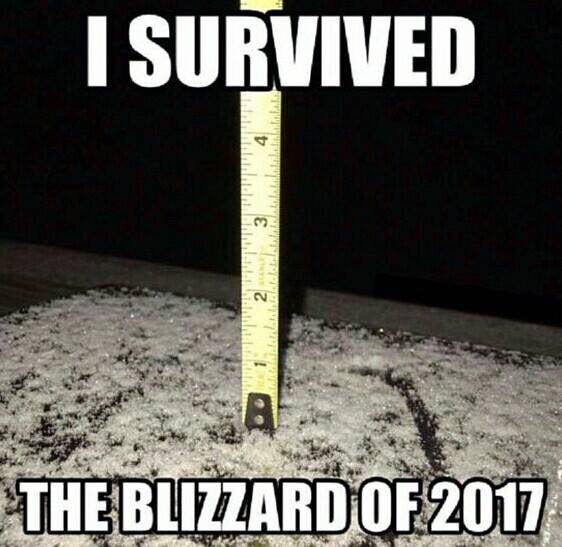 survived the blizzard meme - I Survived Nh The Blizzard Of 2017