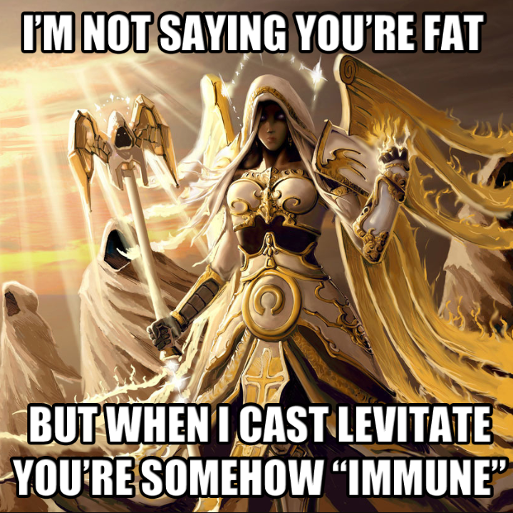 i m not saying you re fat but - I'M Not Saying You'Re Fat But When I Cast Levitate You'Re Somehow Immune