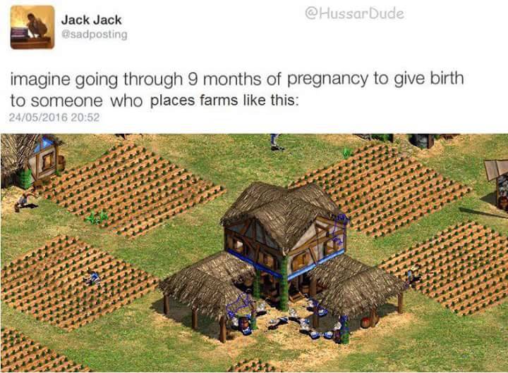 age of empires 2 farm placement - Dude Jack Jack imagine going through 9 months of pregnancy to give birth to someone who places farms this 24052016
