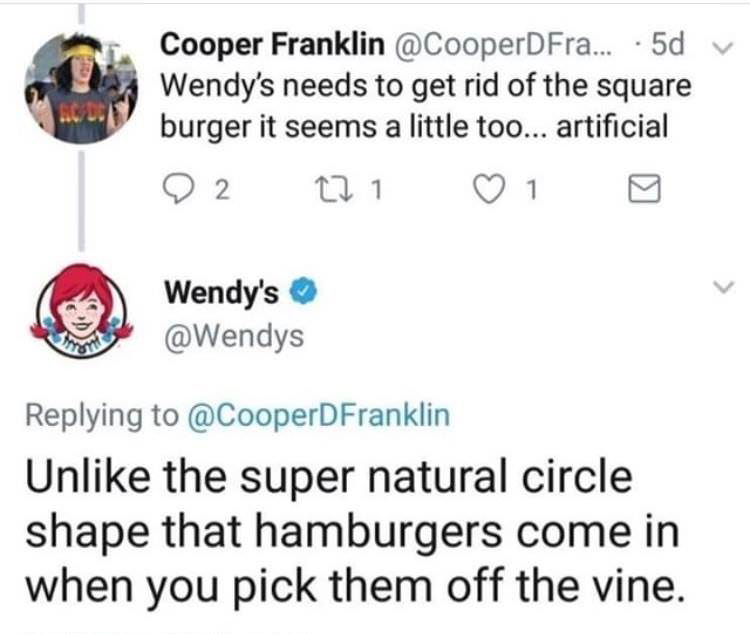 wendy's company - Cooper Franklin ... .5d v Wendy's needs to get rid of the square burger it seems a little too... artificial O 2 12.1 1 0 Wendy's Un the super natural circle shape that hamburgers come in when you pick them off the vine.