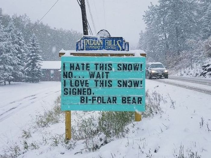 bi polar bear sign - Fundian Hills I Hate This Snow! No... Wait I Love This Snow! Signed, BiFolar Bear