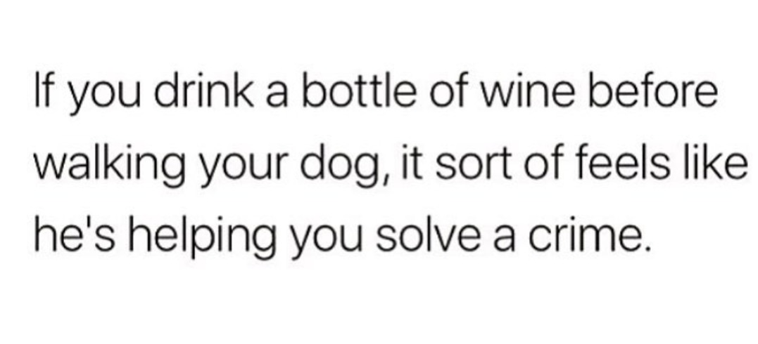 If you drink a bottle of wine before walking your dog, it sort of feels he's helping you solve a crime.