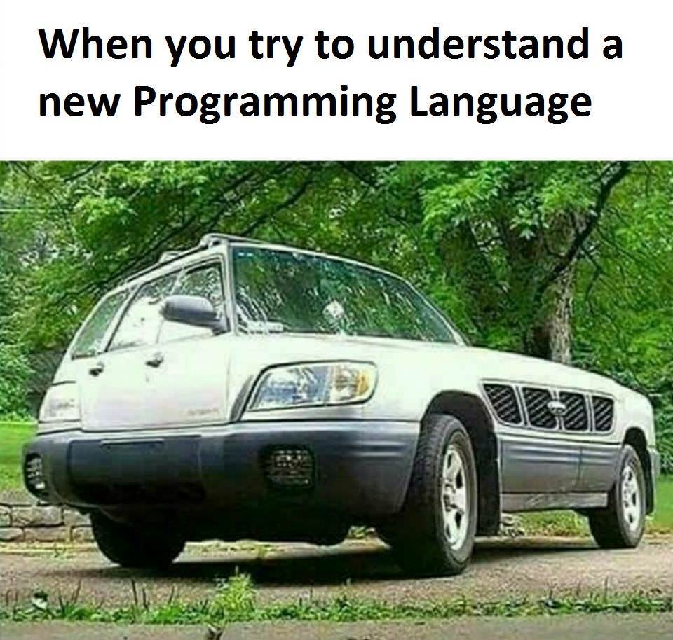 you learn a new programming language - When you try to understand a new Programming Language
