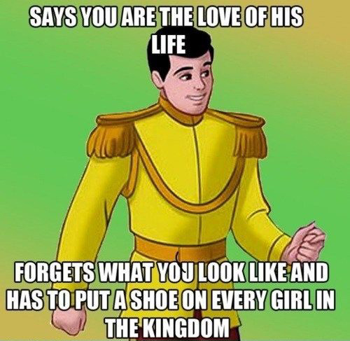 prince charming funny - Says You Are The Love Of His Life Forgets What You Look And Has To Put A Shoe On Every Girlin The Kingdom