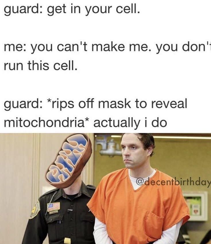 you don t run this cell meme - guard get in your cell. me you can't make me. you don't run this cell. guard rips off mask to reveal mitochondria actually i do