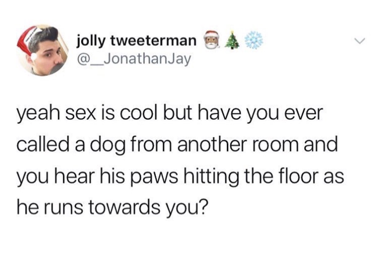 do you want your coffee or are you still being a bitch - jolly tweeterman yeah sex is cool but have you ever called a dog from another room and you hear his paws hitting the floor as he runs towards you?