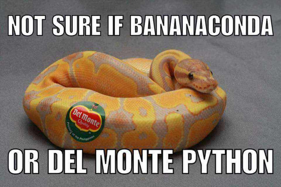 Not Sure If Bananaconda Del Monte Quality Produ Sot of the slippines Or Del Monte Python