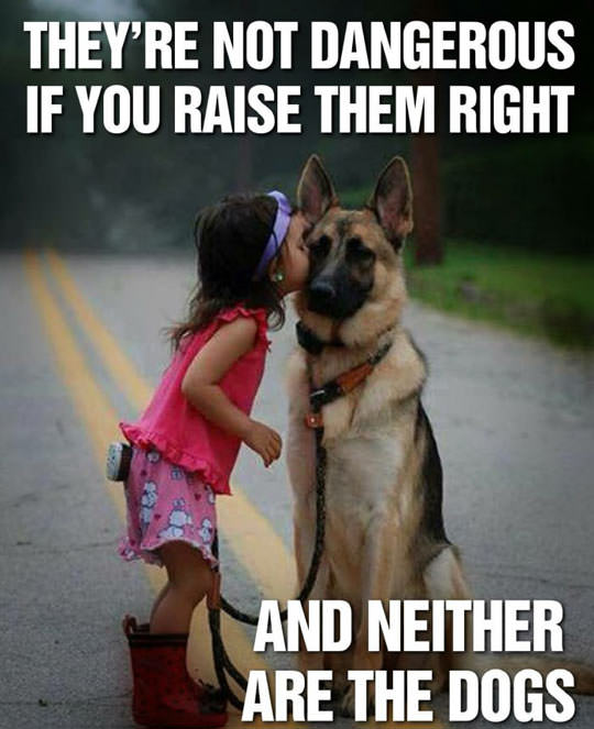 german shepherd memes - They'Re Not Dangerous If You Raise Them Right And Neither Are The Dogs