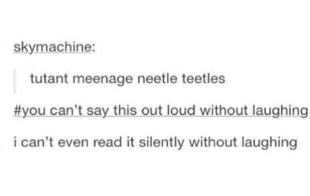 tutant meenage neetle teetles - skymachine tutant meenage neetle teetles can't say this out loud without laughing i can't even read it silently without laughing