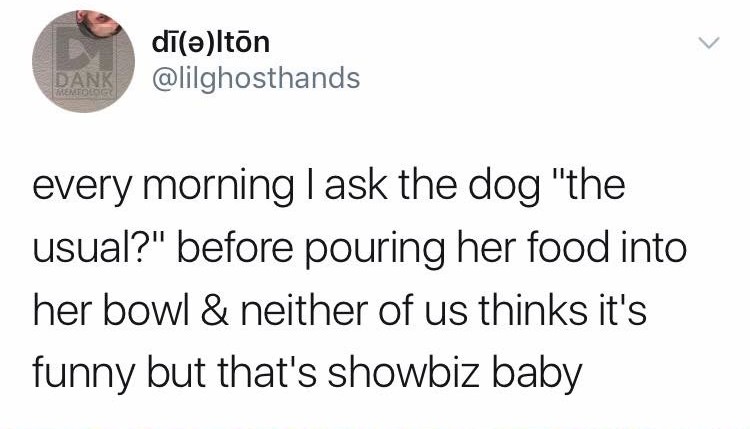 Dank dielton every morning I ask the dog "the usual?" before pouring her food into her bowl & neither of us thinks it's funny but that's showbiz baby