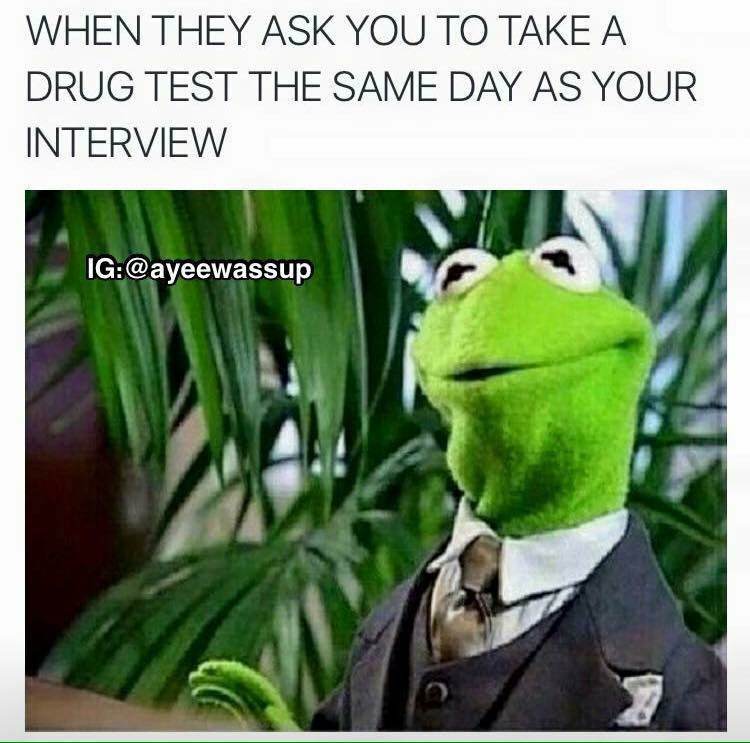 kermit the frog meme - When They Ask You To Take A. Drug Test The Same Day As Your Interview Ig