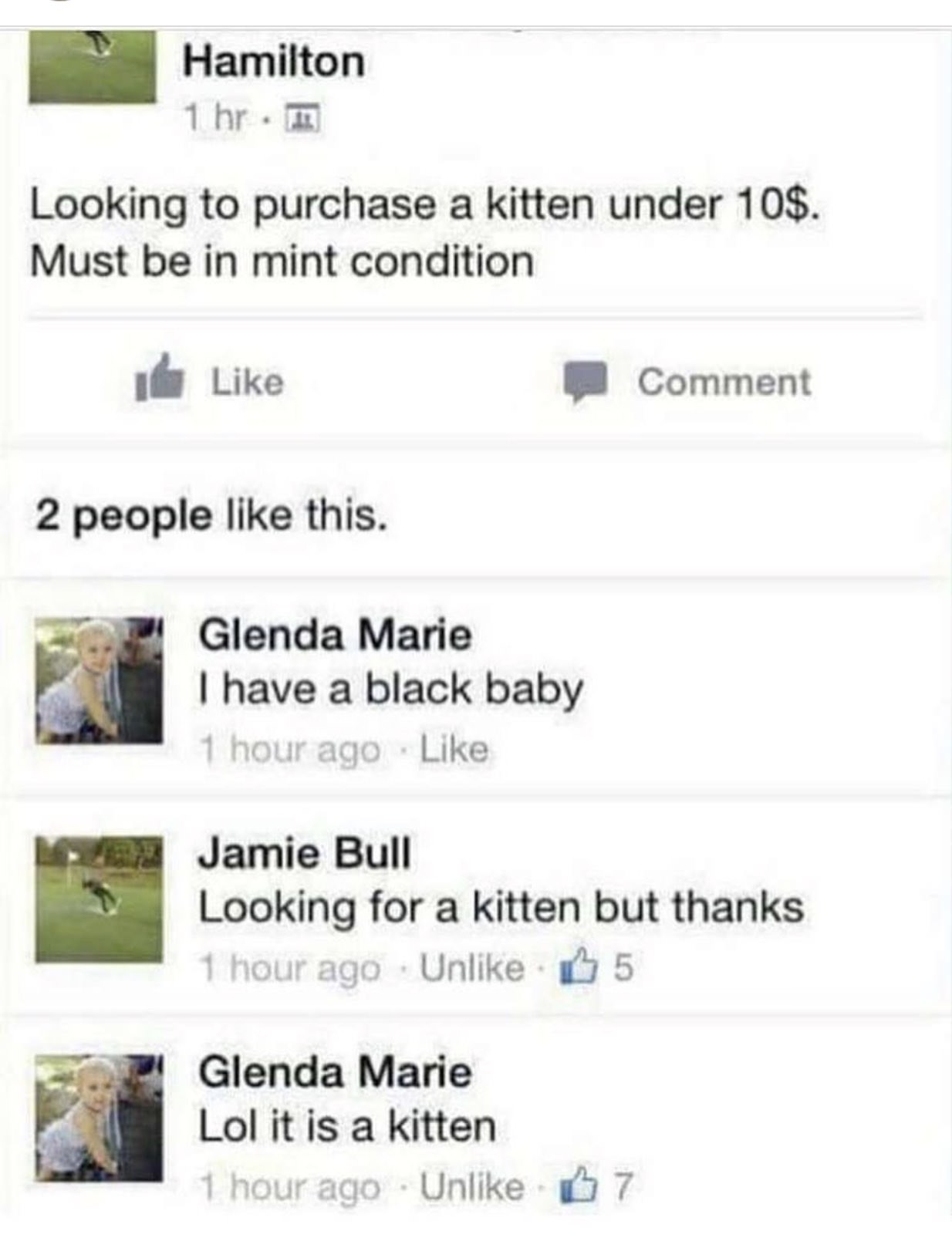 looking for a kitten mint condition - Hamilton 1 hr. I Looking to purchase a kitten under 10$. Must be in mint condition Comment 2 people this. Glenda Marie I have a black baby 1 hour ago Jamie Bull Looking for a kitten but thanks 1 hour ago Un 5 Glenda M
