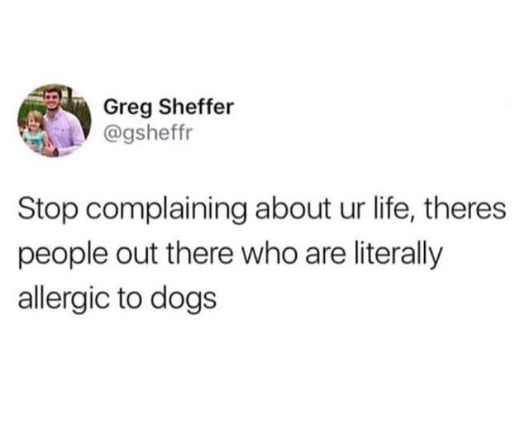 venmo some titty - Greg Sheffer Stop complaining about ur life, theres people out there who are literally allergic to dogs