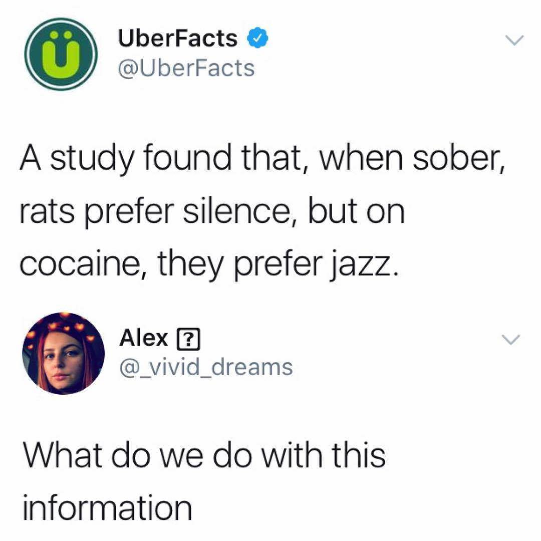 rats on cocaine prefer jazz - UberFacts A study found that, when sober, rats prefer silence, but on cocaine, they prefer jazz. Alex 2 Alex ? What do we do with this information