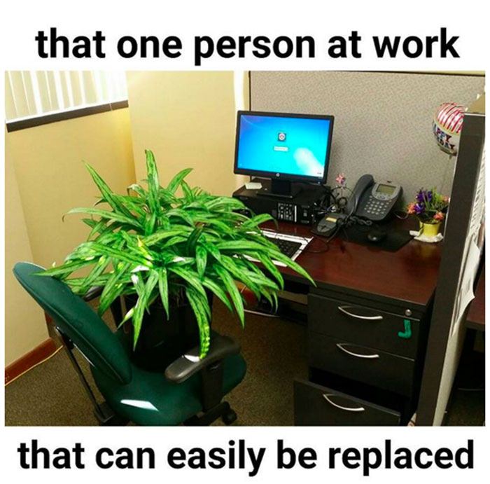 one person at work meme - that one person at work that can easily be replaced