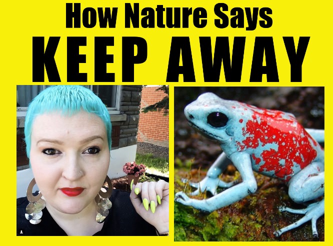 feminists poison colors - How Nature Says Keep Away