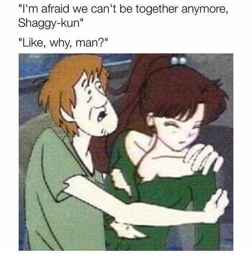 shaggy scooby doo memes - "I'm afraid we can't be together anymore, Shaggykun" ", why, man?"
