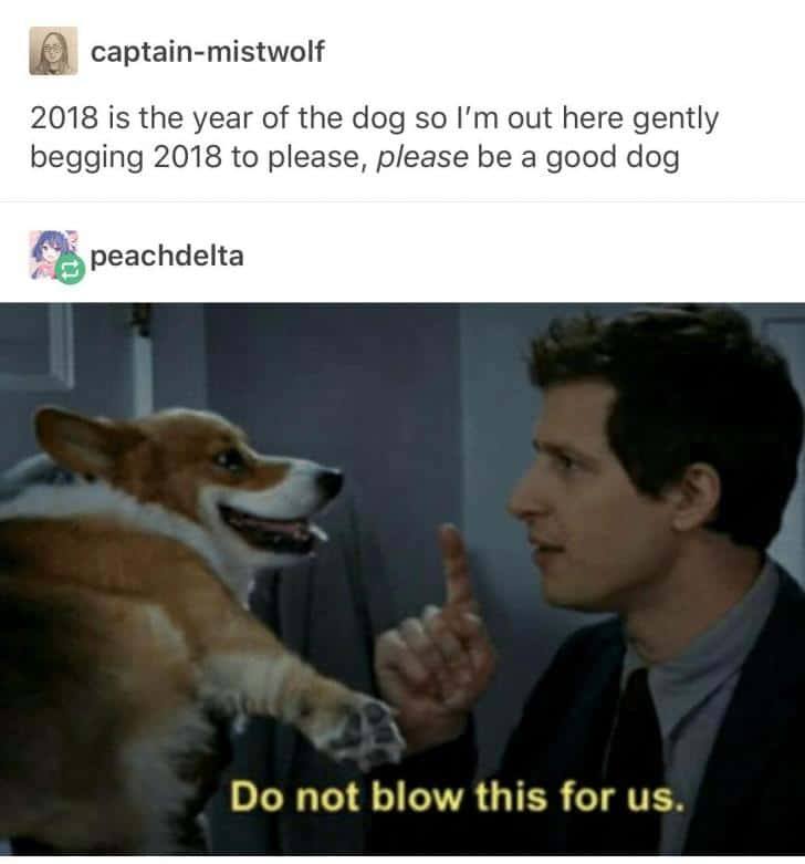 do not blow this for us - captainmistwolf 2018 is the year of the dog so I'm out here gently begging 2018 to please, please be a good dog peachdelta Do not blow this for us.