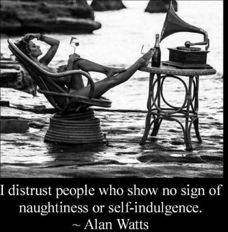 I distrust people who show no sign of naughtiness or selfindulgence. ~ Alan Watts