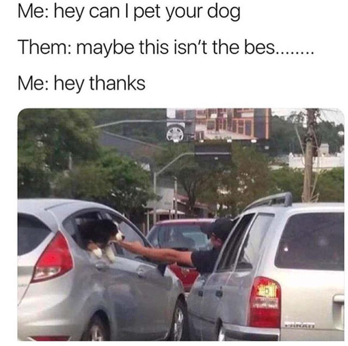can i pet your dog meme - Me hey can I pet your dog Them maybe this isn't the bes........ Me hey thanks