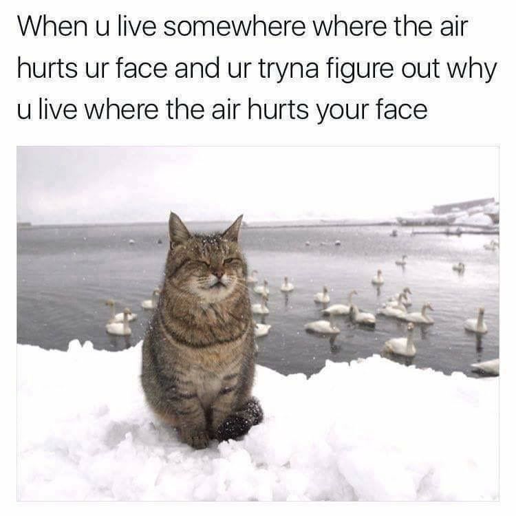 air hurts my face - When u live somewhere where the air hurts ur face and ur tryna figure out why u live where the air hurts your face