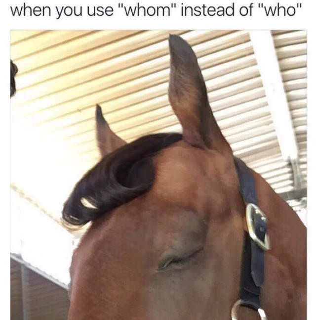 whom memes - when you use "whom" instead of "who"