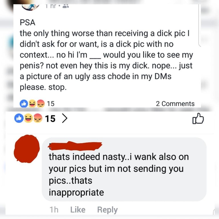 web page - A i nr. Psa the only thing worse than receiving a dick pic | didn't ask for or want, is a dick pic with no context... no hi I'm ___ would you to see my penis? not even hey this is my dick. nope... just a picture of an ugly ass chode in my DMs p