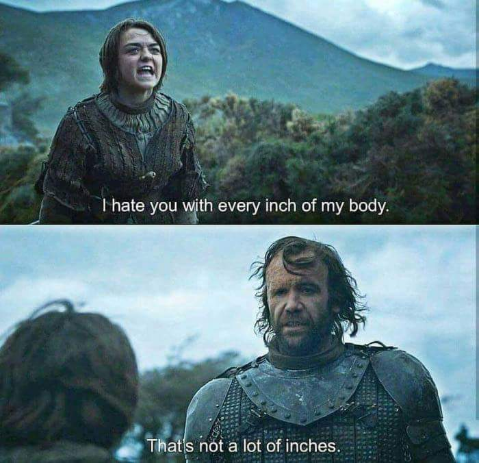 game of thrones meme i hate you - T hate you with every inch of my body That's not a lot of inches.