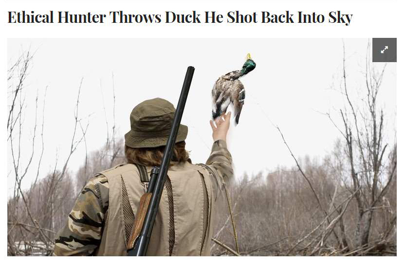 ethical hunter throws duck he shot back into sky - Ethical Hunter Throws Duck He Shot Back Into Sky
