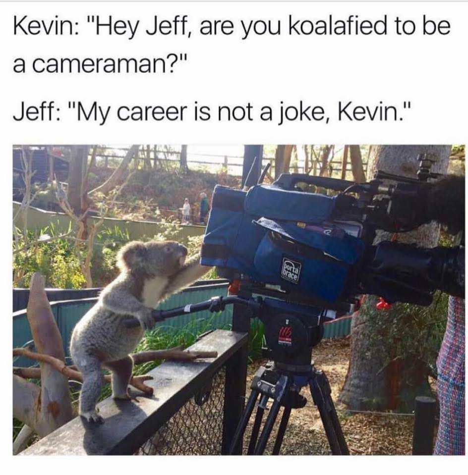 my career is not a joke kevin - Kevin "Hey Jeff, are you koalafied to be a cameraman?" Jeff "My career is not a joke, Kevin." 1020