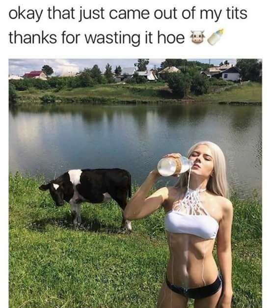 cow bitch - okay that just came out of my tits thanks for wasting it hoeftes