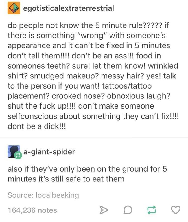 5 minute rule - egotisticalextraterrestrial do people not know the 5 minute rule????? if there is something "wrong" with someone's appearance and it can't be fixed in 5 minutes don't tell them!!!! don't be an ass!!! food in someones teeth? sure! let them 