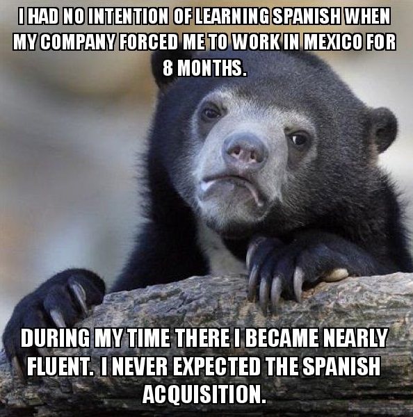 will miss you meme funny - I Had No Intention Of Learning Spanish When My Company Forced Me To Work In Mexico For 8 Months. During My Time There I Became Nearly Fluent. I Never Expected The Spanish Acquisition.