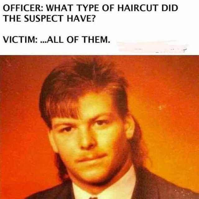 kind of haircut did the suspect have - Officer What Type Of Haircut Did The Suspect Have? Victim ...All Of Them.