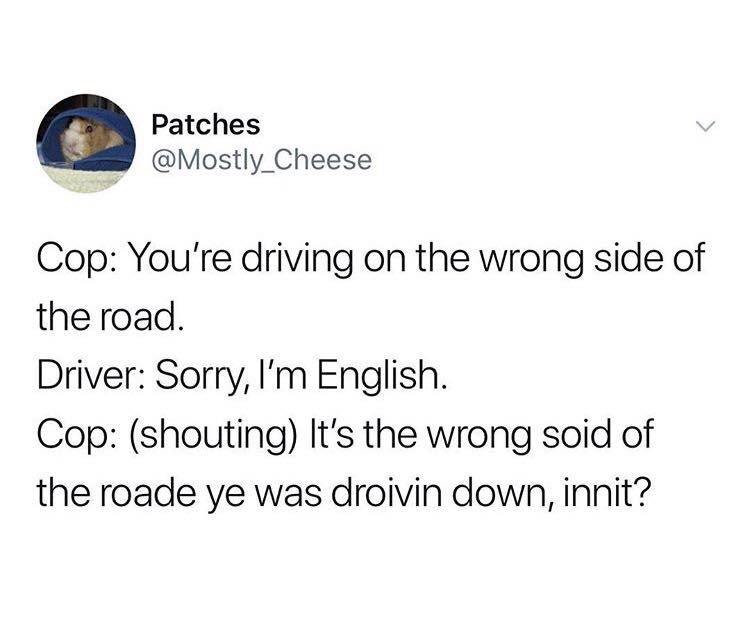 Meme - Patches Cop You're driving on the wrong side of the road. Driver Sorry, I'm English. Cop shouting It's the wrong soid of the roade ye was droivin down, innit?