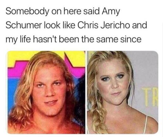 amy schumer chris jericho - Somebody on here said Amy Schumer look Chris Jericho and my life hasn't been the same since