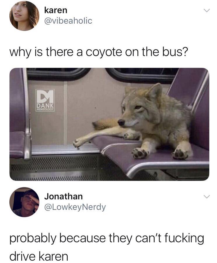 karen memes - karen why is there a coyote on the bus? Dank Memeology Llllllll Jonathan probably because they can't fucking drive karen