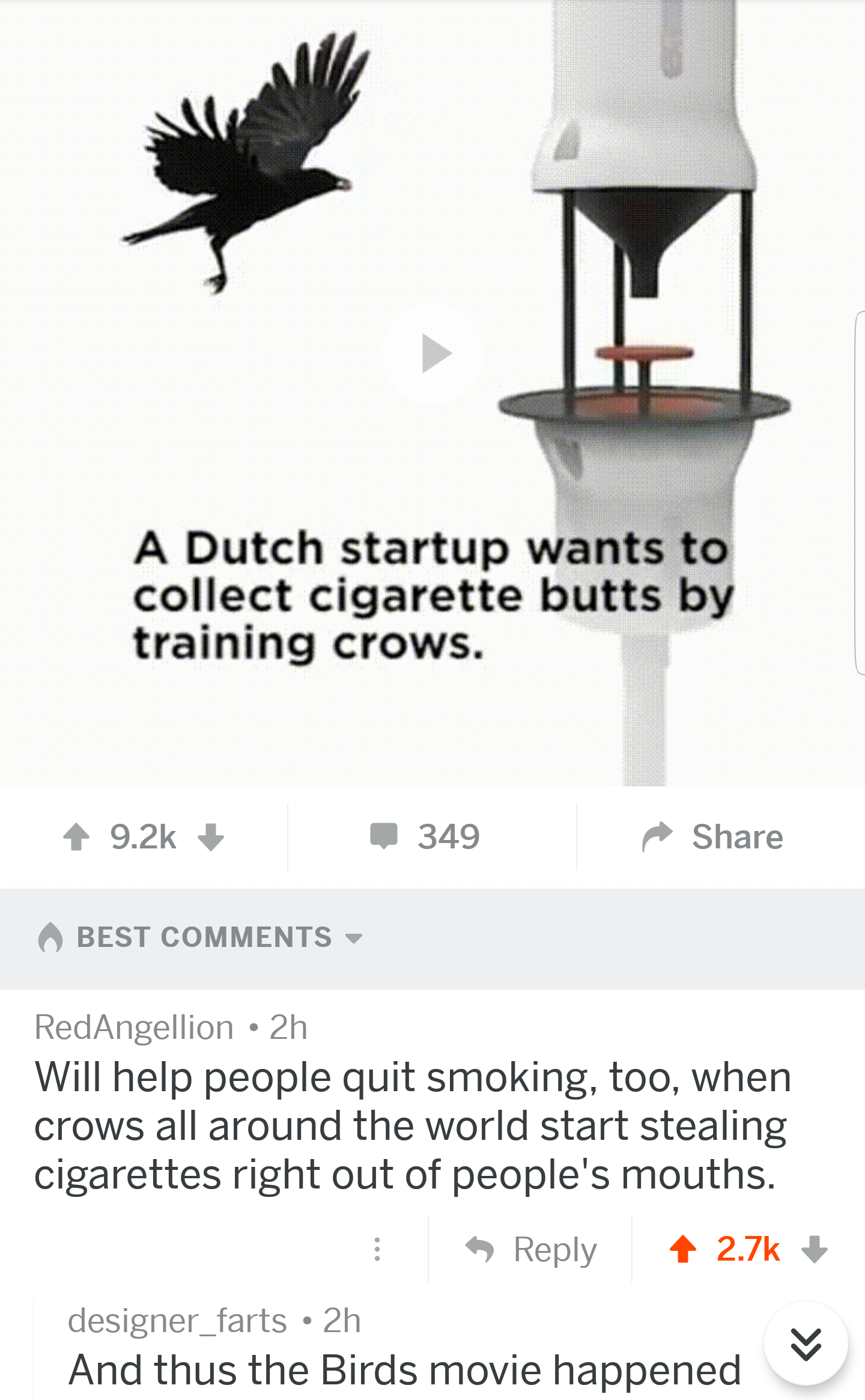 animal - A Dutch startup wants to collect cigarette butts by training crows. 349 A Best RedAngellion.2h Will help people quit smoking, too, when crows all around the world start stealing cigarettes right out of people's mouths. designer_farts. 2h And thus