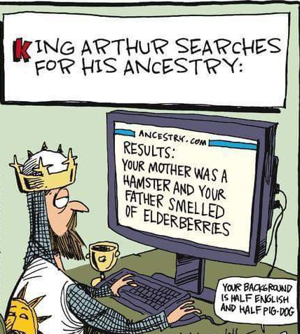 fart in your general direction - King Arthur Searches For His Ancestry Ancestrk.Com Results Your Mother Was A Hamster And Your Father Smelled Of Elderberries Your Backgrond Is Half English And Half PigDog boll