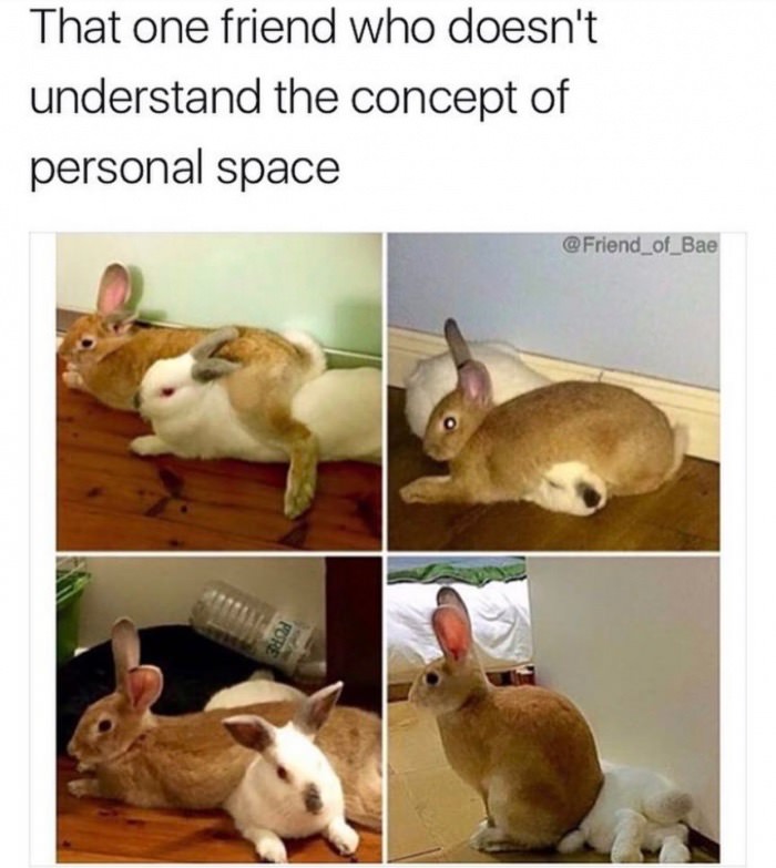 personal space meme - That one friend who doesn't understand the concept of personal space