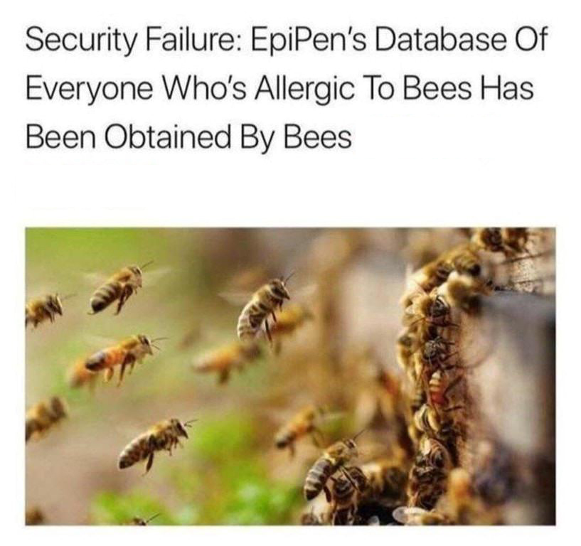 flying bees - Security Failure EpiPen's Database Of Everyone Who's Allergic To Bees Has Been Obtained By Bees