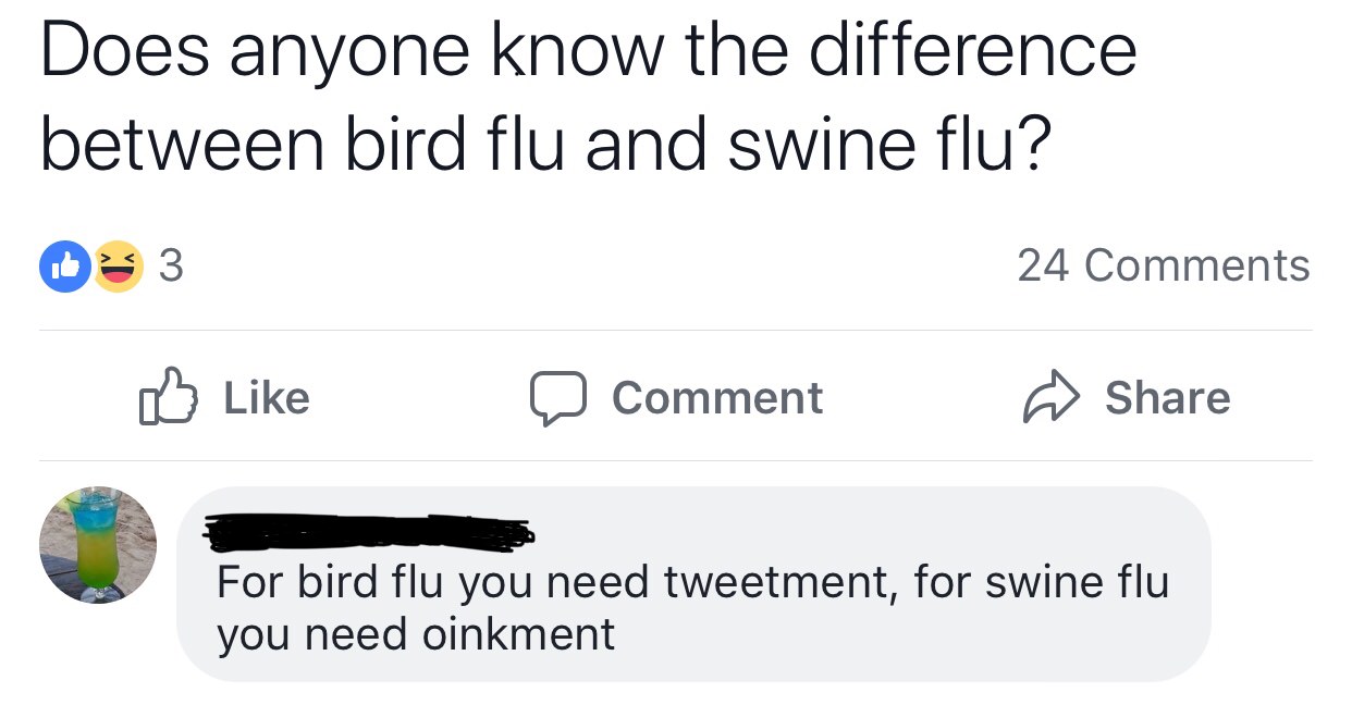 angle - Does anyone know the difference between bird flu and swine flu? 03 3 24 D Comment e For bird flu you need tweetment, for swine flu you need oinkment