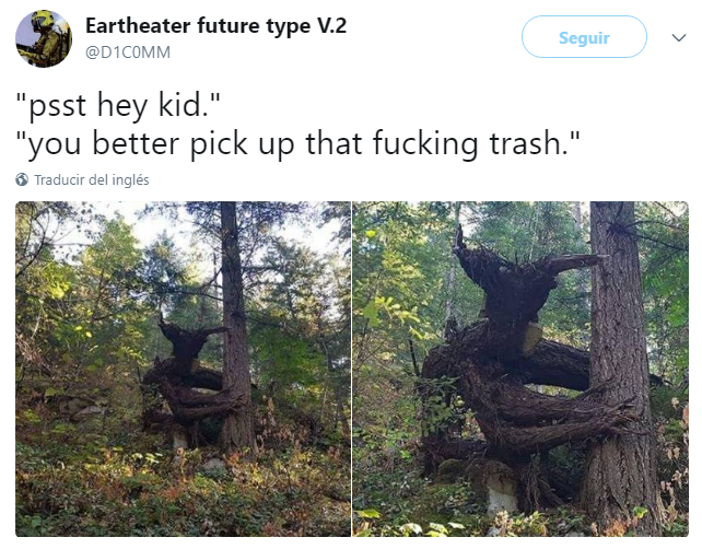 peculiar trees - Eartheater future type V.2 Seguir "psst hey kid." "you better pick up that fucking trash." Traducir del ingls