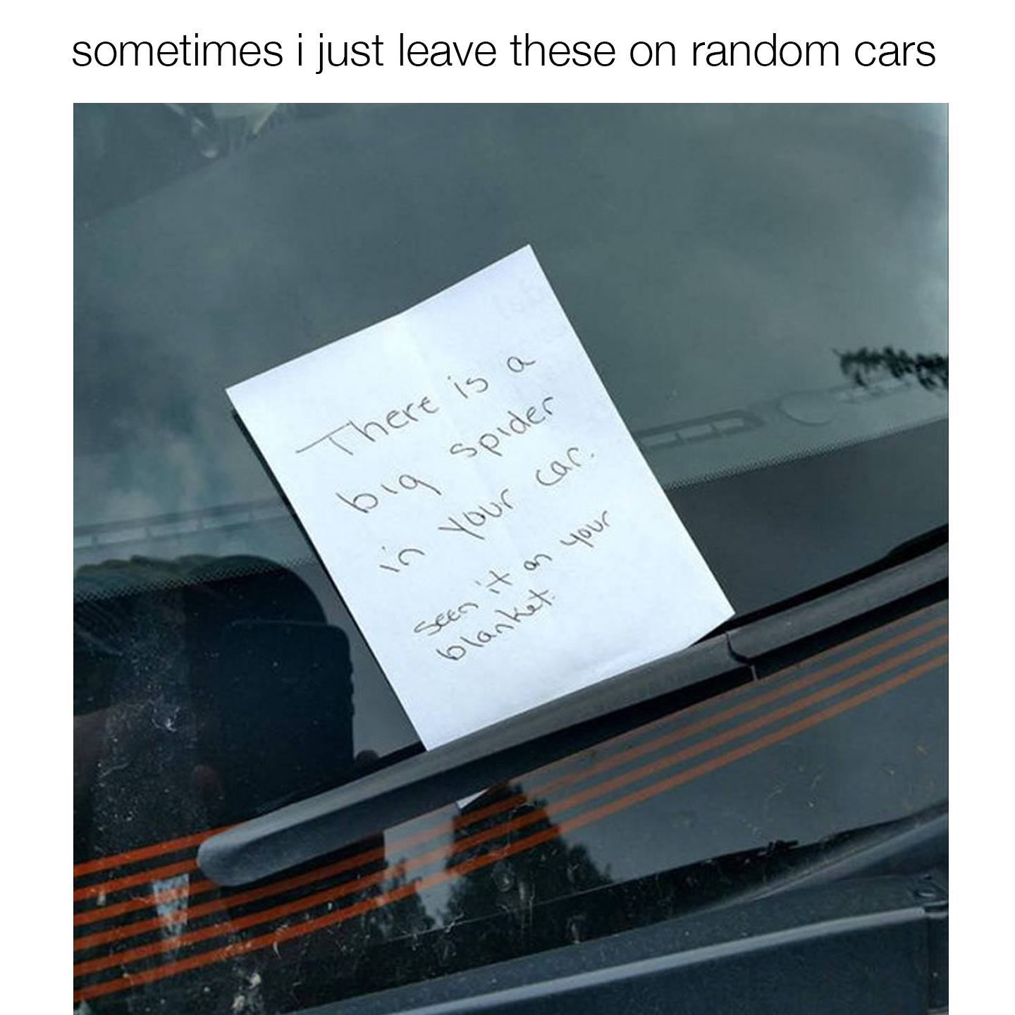 ruin someone's day meme - sometimes i just leave these on random cars There is a big spider in your car. seen it on your